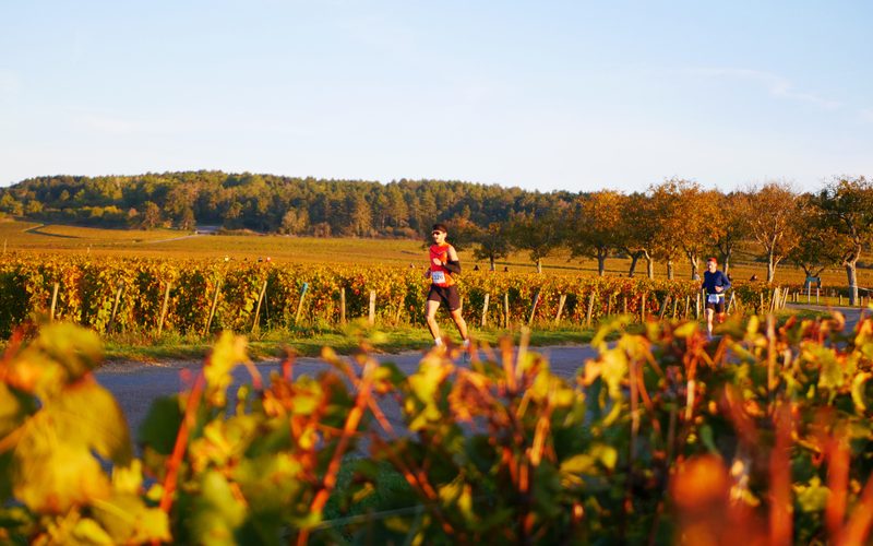 Marathon des Grands Crus
