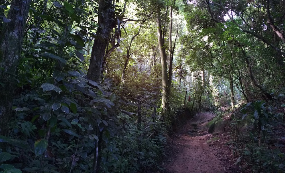 Trail du Val Joly