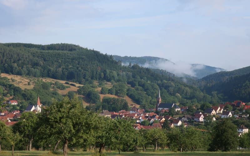 Trail du Fleckenstein