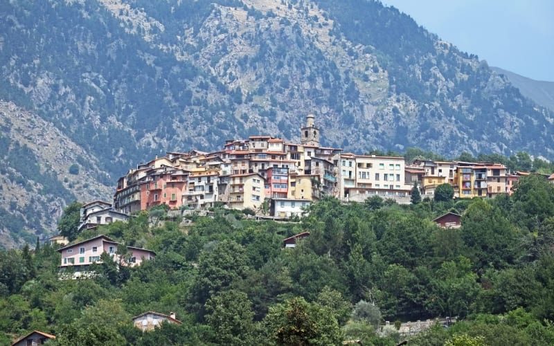 Trail Per Cami